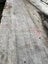 Final Black Maire Slab – 340cm Long & 7cm Thick Carousel 8
