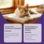 Cat Deterrent Spray Safe for Indoor Outdoor Use Carousel 5