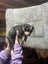 American Bulldog puppies Carousel 12