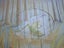 If You Love a Fairy Tale Hardcover Carousel 4
