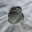 Fairy stone (calcite concretion) Carousel 2