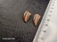 Abelisaur (Dinosaur) Fossil Tooth (A) Carousel 5