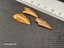 Abelisaur (Dinosaur) Fossil Tooth (B) Carousel 9