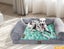 Pawz Pet Cooling Mat Cat Dog Gel Non-Toxic Bed Pillow Sofa Self-cool Summer S Carousel 8