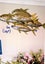 Fish Steel Wall Mounted Carousel 4