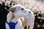 Lucy (Ellie's Canine Rescue & Rehome) Carousel 2