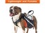 Retractable Dog Leash (Over Stocked) Carousel 7