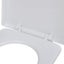 White Soft-close Toilet Seat Square Oaoilt Carousel 5