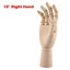 Hand Model Mannequin Carousel 3