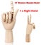 Hand Model Mannequin Carousel 4
