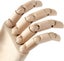 Hand Model Mannequin Carousel 8