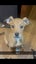 Border collie x Staffy puppies Carousel 4