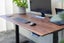 Stand Desk PRO Hardwood - American Walnut - 1500mm x 800mm - Desk Top Only - New Carousel 5