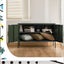 Artiss Buffet Sideboard Metal Cabinet - BASE Green Carousel 8