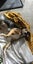 Trixie (Ellies Canine Rescue & Rehome) Carousel 4