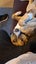 Trixie (Ellies Canine Rescue & Rehome) Carousel 2