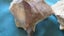 * Raw Jasper x 6 Small Pieces (1.750kg) - Multicolours Carousel 2