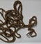 Victorian 9ct gold muff chain Carousel 3