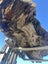 1000 kg Small Ancient Kauri Stump Root Log – Natural Art / Collector’s Piece Carousel 8