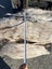 1000 kg Small Ancient Kauri Stump Root Log – Natural Art / Collector’s Piece Carousel 13