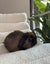 Minilop rabbits Carousel 1