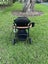 Edwards and Co Stroller Carousel 4