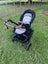Edwards and Co Stroller Carousel 8