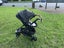 Edwards and Co Stroller Carousel 11