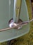 ART DECO DRINKS TROLLEY Carousel 17