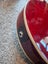 Greg Bennett Design Mandolin Carousel 5