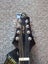 Greg Bennett Design Mandolin Carousel 7