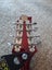 Greg Bennett Design Mandolin Carousel 8