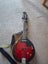 Greg Bennett Design Mandolin Carousel 9