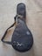 Greg Bennett Design Mandolin Carousel 10