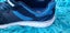 Boy's Size 2US Skechers Sneakers Carousel 4