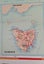 SHELL WALL MAP OF AUSTRALIA Carousel 5