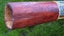DIDGERIDOO - LARGE, 1275mm Carousel 5