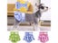 Dog Menstrual Pants Princess Pet Physiological Pants Female Dog Shorts Carousel 4