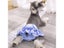 Dog Menstrual Pants Princess Pet Physiological Pants Female Dog Shorts Carousel 6