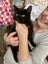 Sweet little Suzie desexed kitten Carousel 1