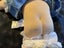 CABBAGE PATCH DOLL Carousel 5