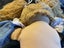 CABBAGE PATCH DOLL Carousel 7