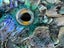 **UNIQUE LARGE PAUA SNAPPER** Carousel 3