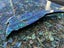 **UNIQUE LARGE PAUA SNAPPER** Carousel 9