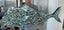 **UNIQUE LARGE PAUA SNAPPER** Carousel 10