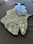 **UNIQUE LARGE PAUA SNAPPER** Carousel 5
