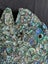 **UNIQUE LARGE PAUA SNAPPER** Carousel 6