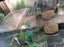 Turtle and complete tank setup Carousel 3