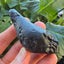 Thailand Indochinite tektite 73.73g Carousel 3