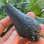 Thailand Indochinite tektite 73.73g Carousel 1